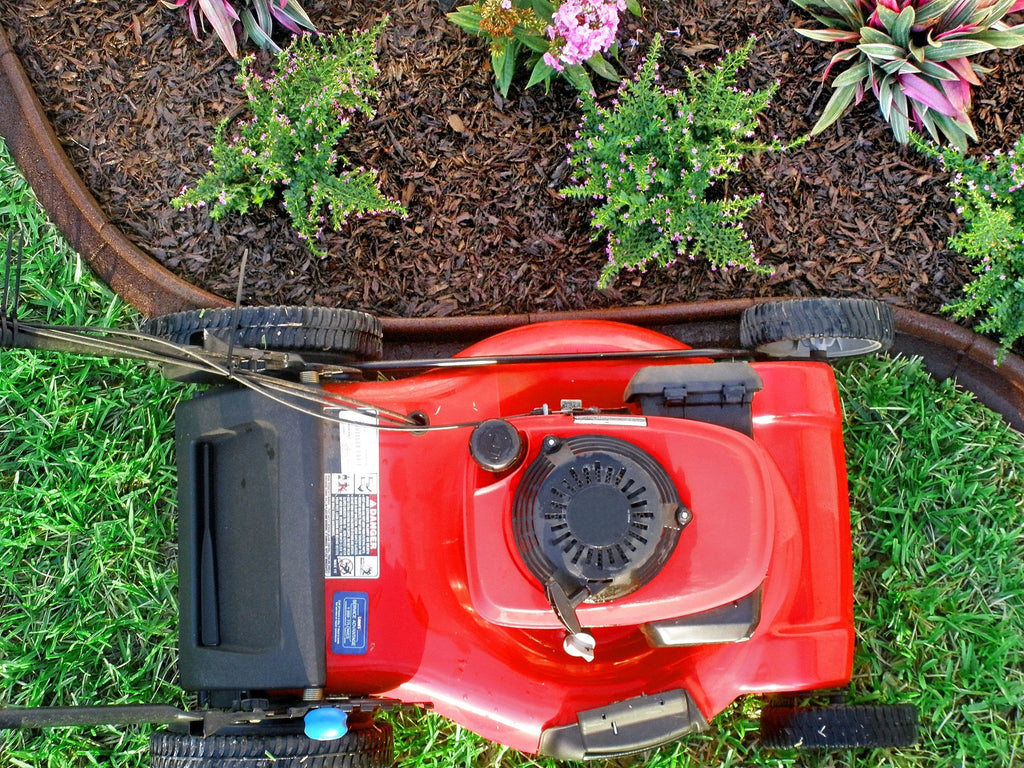 Lawn mower driving over EcoBorder edging