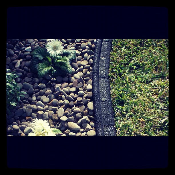 EcoBorder L landscape edging in a customer's yard