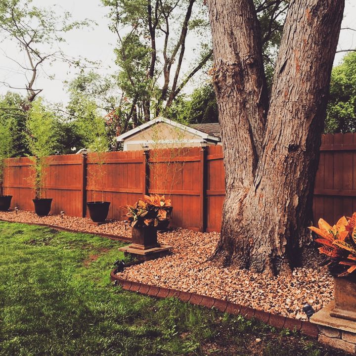 EcoBorder L landscape edging in a customer's yard