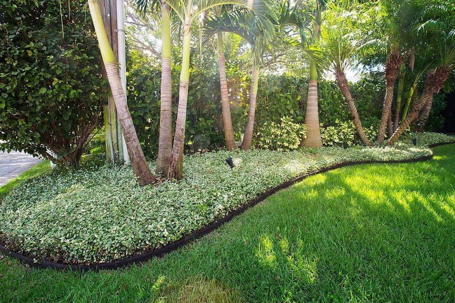 EcoBorder L landscape edging in a customer's yard