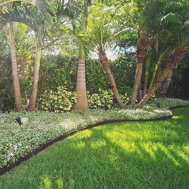 EcoBorder L landscape edging in a customer's yard