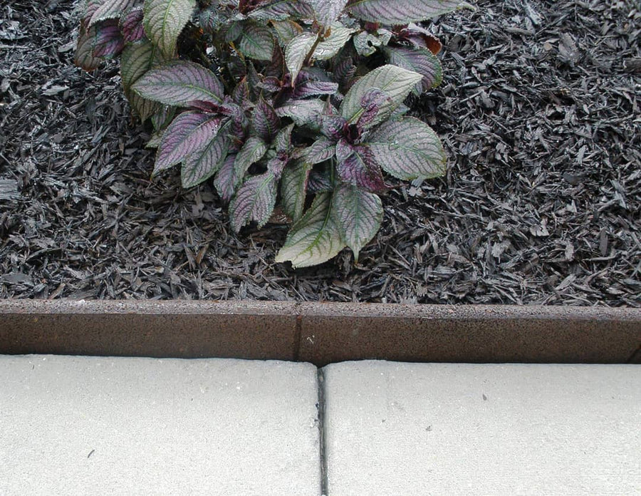 EcoBorder L landscape edging in a customer's yard