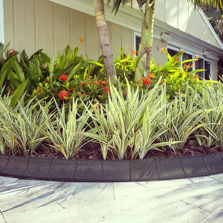 EcoBorder Curb landscape edging in a customer's yard