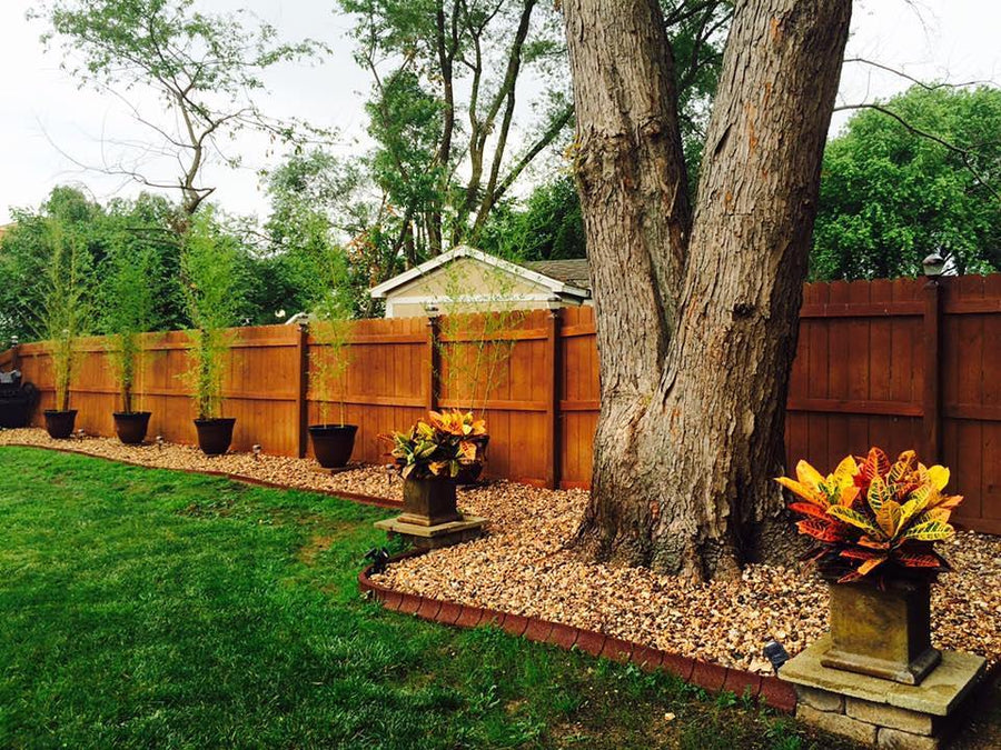 EcoBorder Curb landscape edging in a customer's yard