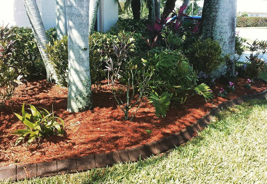 EcoBorder Curb landscape edging in a customer's yard