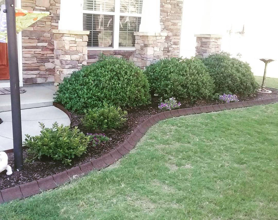 EcoBorder Curb landscape edging in a customer's yard