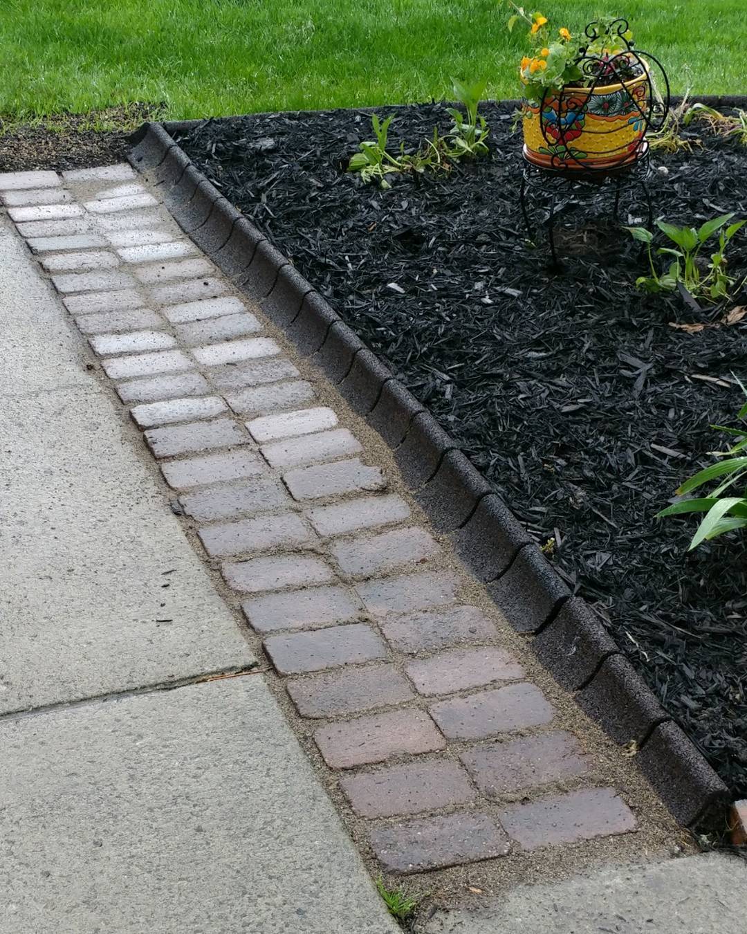 EcoBorder Curb landscape edging in a customer's yard