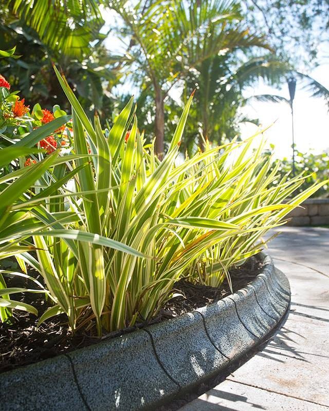 EcoBorder Curb landscape edging in a customer's yard