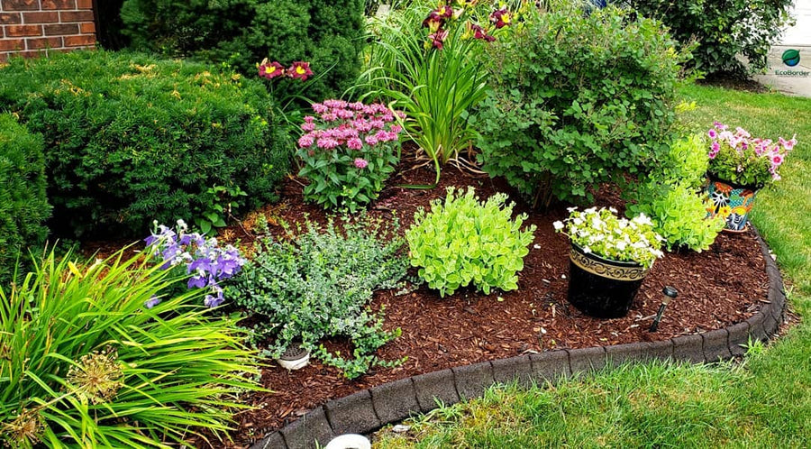 EcoBorder Curb landscape edging in a customer's yard