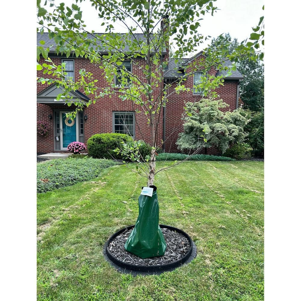 EcoBorder Tree Ring around a young tree in front of a brick house